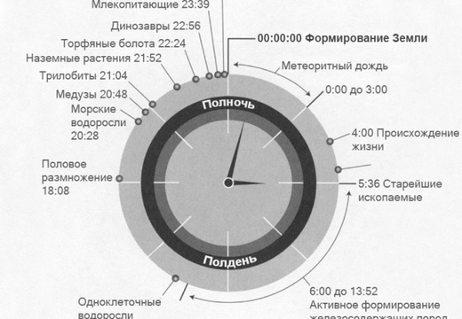 History